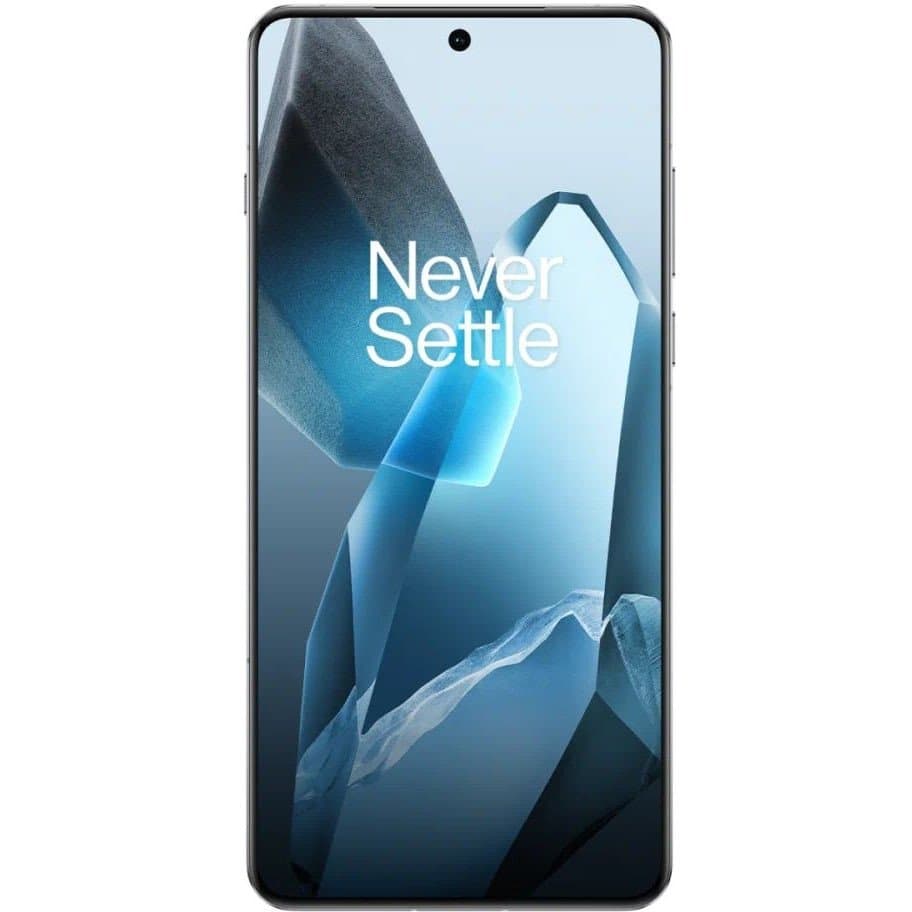 OnePlus 13