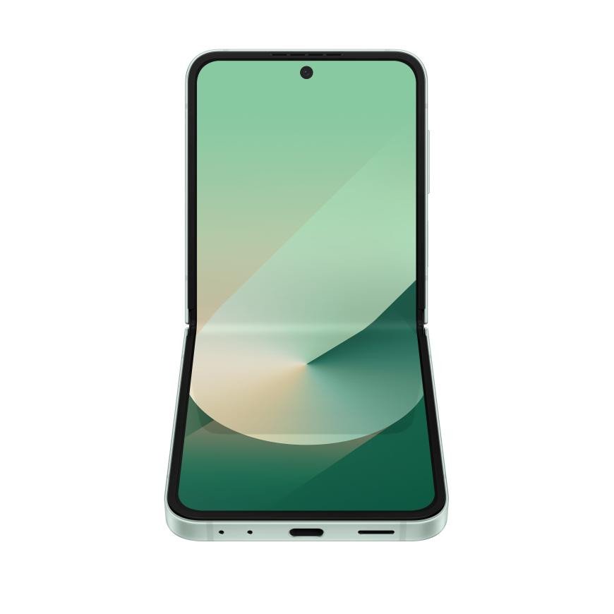 Z Flip 6 SM-F741