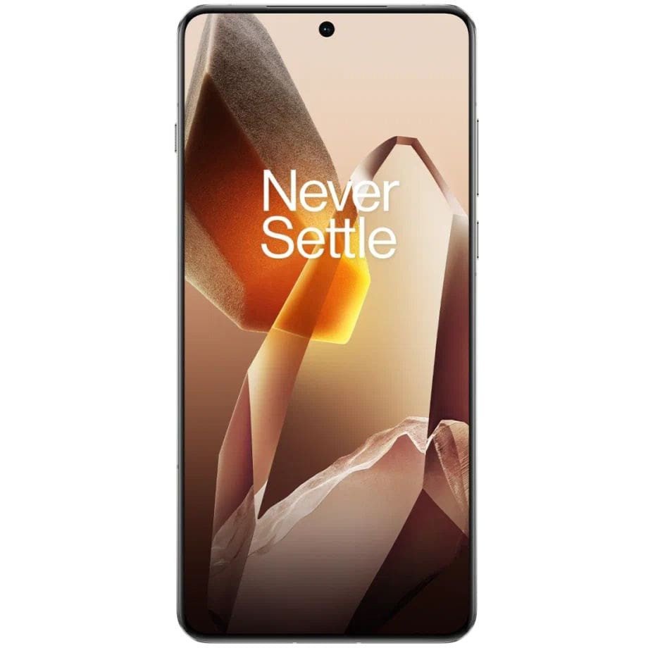 OnePlus 13