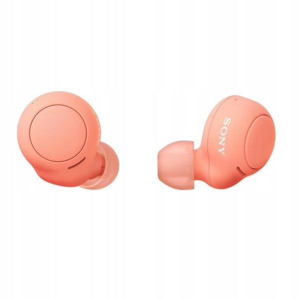 Sony WF-C500 Wireless Earbuds - 1